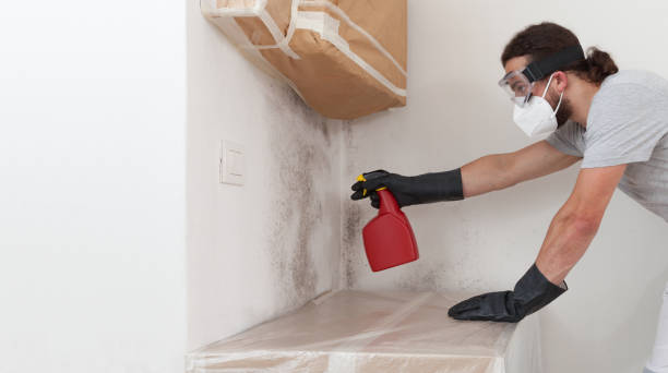 Professional Attic Mold Remediation technician working in Hempstead, NY